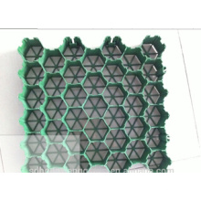 Plastique Paver Grid / Plastic Drainage et Green Black Grass Grid Sheet Mold / Grass Grid Mould